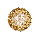 Veli Ceiling-Wall Lamp // Gold (Large)