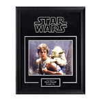 Signed Artist Series // Luke Skywalker + Yoda