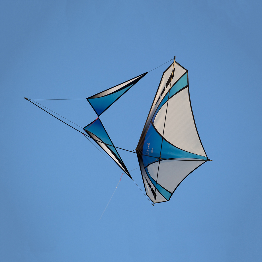 Prism Kites High Performance Sport Kites Touch of Modern