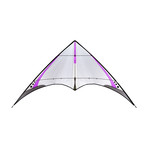 4-D Ultralight Dual-Line Sport Kite