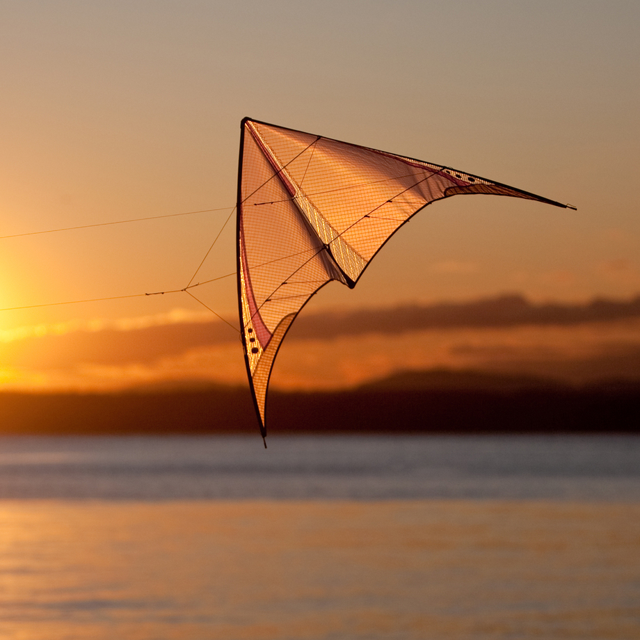 Prism Kites High Performance Sport Kites Touch of Modern