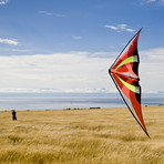 Zephyr Dual-Line Sport Kite (Inferno)