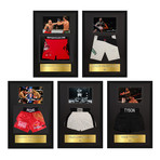 Signed Trunks // Full Collection