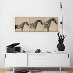 The Anatomy of the Horse Collage // George Stubbs (36"W x 12"H x .75"D)