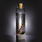 Nano Bottle Aquarium // Large (White Sand)