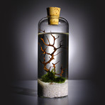 Nano Bottle Aquarium // Medium (White Sand)