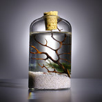 Nano Bottle Aquarium // Small (White Sand)