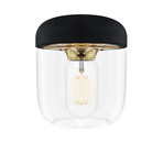 Acorn Black Pendant + LED Bulb // Polished Brass (Hardwired)