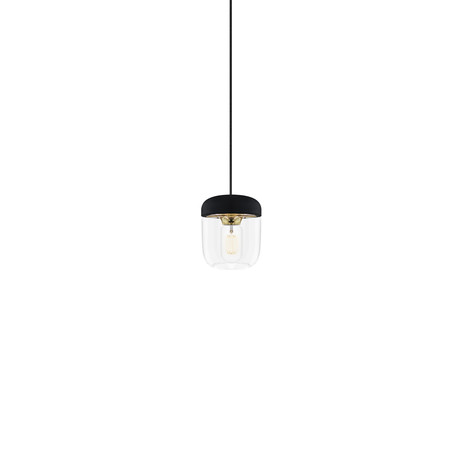 Acorn Black Pendant + LED Bulb // Polished Brass (Hardwired)