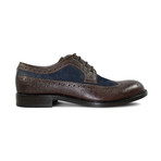 Kensington Wing-Tip Brogue Derby // Chocolate + Navy (US: 9.5)