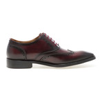 Liam Wing Tip Oxford // Burgundy (US: 7)