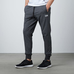 Jogger // Grey (2XL)