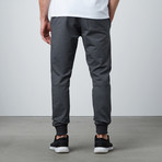 Jogger // Grey (2XL)