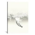 Sky Diver // Fran Rodriguez (18"W x 26"H x 0.75"D)
