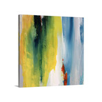 Brand of Color I (20"W x 20"H x 1.5"D)