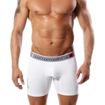 Microfiber Boxer Brief // White (S)