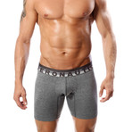 Microfiber Boxer Brief // Jasper Gray + Black + White (L)