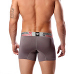 Striped Microfiber Trunk // Gray + Red (S)