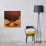 Escape From Red Planet (18"W x 18"H x 0.75"D)