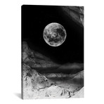 Moon (26"W x 18"H x 0.75"D)