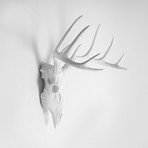 The Faux Deer Skull (Gold + White)