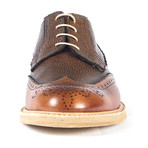Conca Colorblock Wingtip Derby // Tan (Euro: 43)