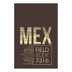 Mexico City (Benito Juarez) (18"W x 26"H x 0.75"D)