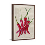 Red Hot Chilis II // Framed Painting Print (12"W x 18"H x 1.5"D)