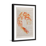 Historical Crevette // Framed Painting Print (12"W x 18"H x 1.5"D)