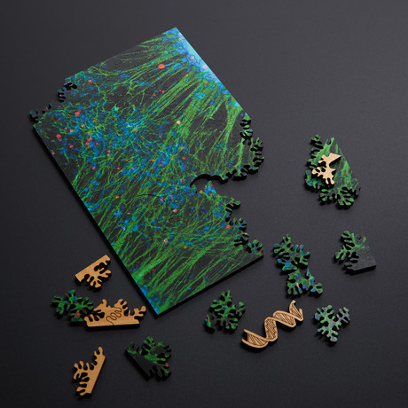 Neural Network Puzzle // Green