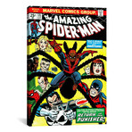 Marvel Comics // Spider-Man Issue Cover #135 (18"W x 26"H x 0.75"D)