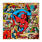 Marvel Comics // Spider-Man // Covers + Panels Square (18"W x 18"H x 0.75"D)