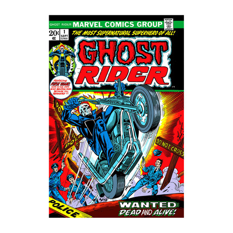 Marvel Comics // Ghost Rider Issue Cover #1 (18"W x 26"H x 0.75"D)