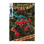 Marvel Comics // Retro // The Amazing Spider-Man (1971) #100 (18"W x 26"H x 0.75"D)