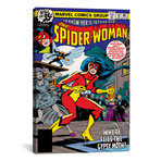 The Spider-Woman, Issue #10 Cover (18"W x 26"H x 0.75"D)