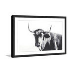 Steer Face // Framed Painting Print (18"W x 12"H x 1.5"D)