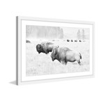 Buffalos Two // Framed Painting Print (18"W x 12"H x 1.5"D)