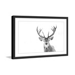 Majestic Antlers // Framed Painting Print (18"W x 12"H x 1.5"D)