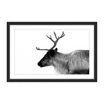 Antler Profile I // Framed Painting Print (18"W x 12"H x 1.5"D)