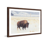 Curious Beast // Framed Painting Print (18"W x 12"H x 1.5"D)