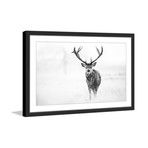 Antler Profile III // Framed Painting Print (18"W x 12"H x 1.5"D)