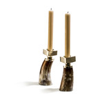 Petite Horn Candleholder Set (Dark)