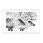 Elk Pair Ram // Framed Painting Print (18"W x 12"H x 1.5"D)