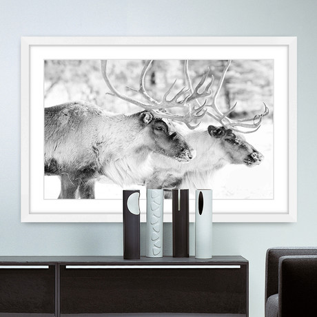 Elk Pair Ram // Framed Painting Print (18"W x 12"H x 1.5"D)
