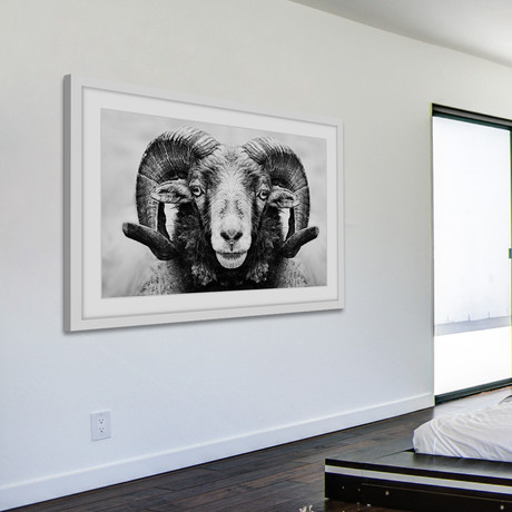 I Dare You Ram // Framed Painting Print (18"W x 12"H x 1.5"D)
