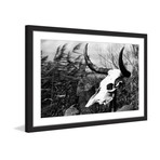 Skull in the Grass // Framed Painting Print (18"W x 12"H x 1.5"D)