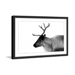 Antler Profile I // Framed Painting Print (18"W x 12"H x 1.5"D)