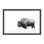 Antler Profile II // Framed Painting Print (18"W x 12"H x 1.5"D)