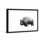 Antler Profile II // Framed Painting Print (18"W x 12"H x 1.5"D)