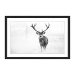 Antler Profile III // Framed Painting Print (18"W x 12"H x 1.5"D)